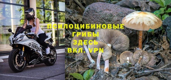 тгк Балахна