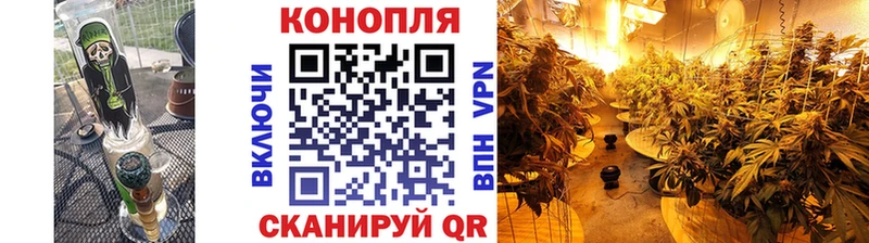где можно купить Пересвет Каннабис тримм